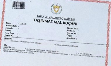 KKTC Tapu Türleri ve Anlamları - Kıbrıs  Tapu Koçan Sorgulama