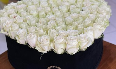 Zega Flowers - Cyprus Flower Order