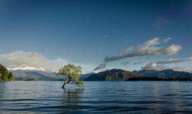 Dasoudi Beach Taverna