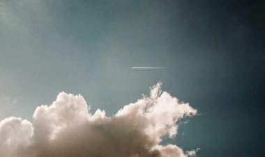 Columbia Steak House