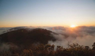 Green Heights Park & Restaurant / pool