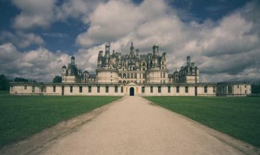 Jasmin;J.D. Taj-Mahal