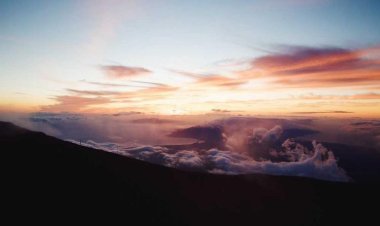 Speedy Gonzales Mexican Restaurant & Bar