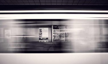 Sırtlanı Yani Fish Restaurant