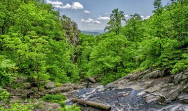Altınkoy Fish Restaurant
