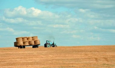 Η Περινια Family restaurant