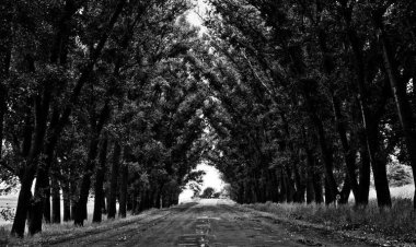 Juice naturals @BAR@