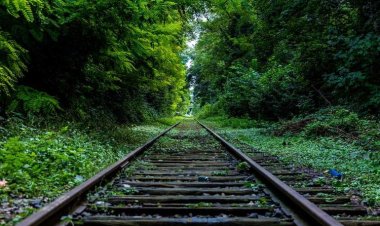 Red Lion Oriental bistro