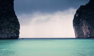 Maistrali Seafood Seaview