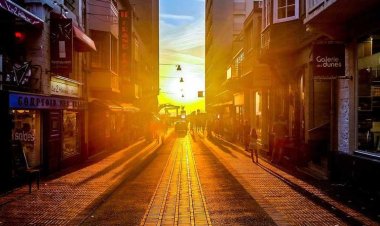 C. D. A. College Cafeteria