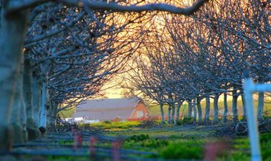 Yummy India Restaurant