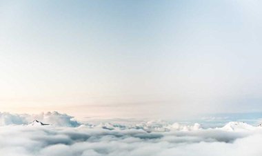 Gyros-Souvlaki Sieftalies