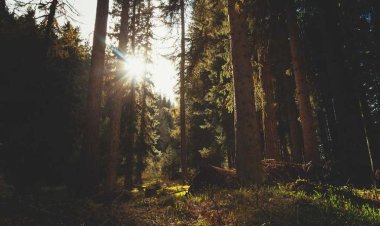 Περίπτερο get in