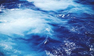 Berk Dream Sandwiches