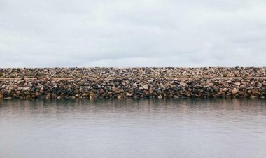 Northern Fried Chicken