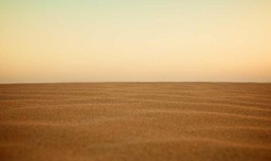 Alkan Kahve Fabrikası