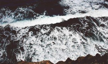 Ταβέρνα Ρόπας