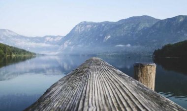 Jackson Gastro Cafe Bar