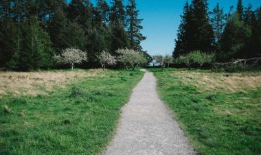 Ζανέττος Κυπριακή Ταβέρνα