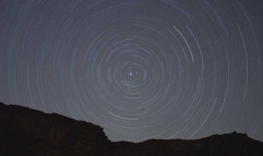 Cedar Lebanese Restaurant