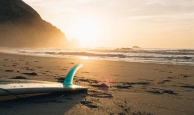 Road Trip Bar & Grill