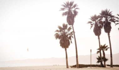 Paul’s Coffee Roasters