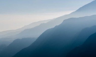 Paul’s Coffee Roasters