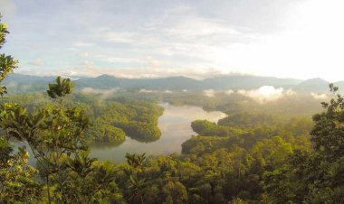 Παραδοσιακό