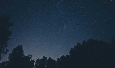 Germasogeia Farmers Market