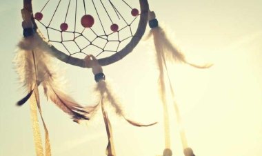 Smoothie Factory Cyprus