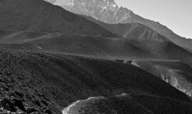 Ταβέρνα Ζορπά