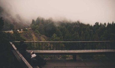 INAMO Asian Philosophy