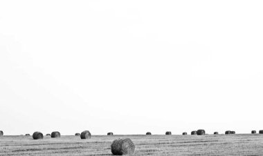 AHINOS Seafood & Sushi