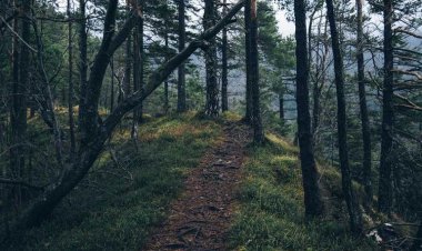 To Antamoma Events Venue & Chill Out Bar