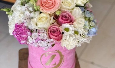 Kıbrıs Online Çiçek Siparişi: Çiçek Sepeti ve Zega Flowers İle Hızlı ve Güvenilir Teslimat