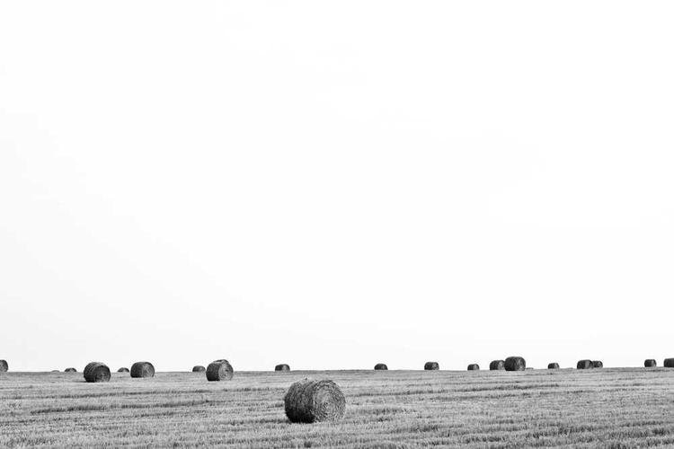 La Croissanterie